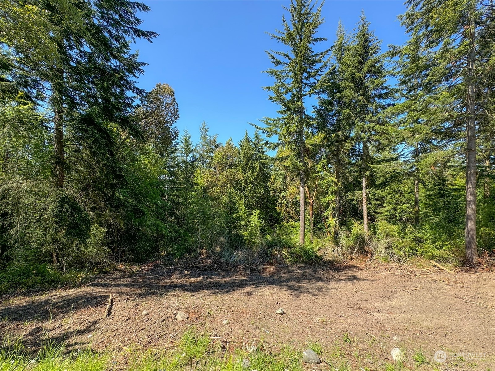 9999 Doe Run Road Property Photo 1