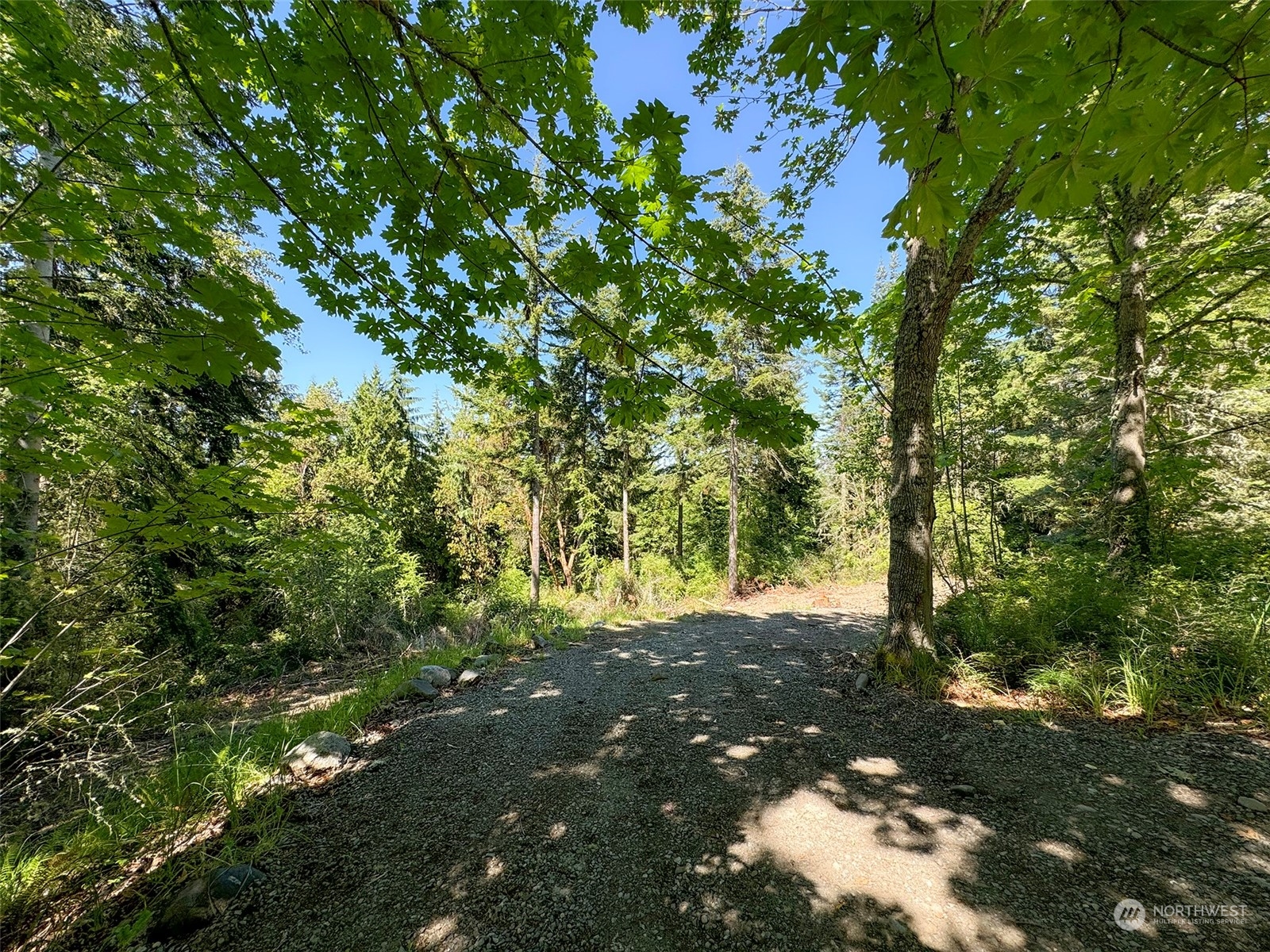 9999 Doe Run Road Property Photo 11