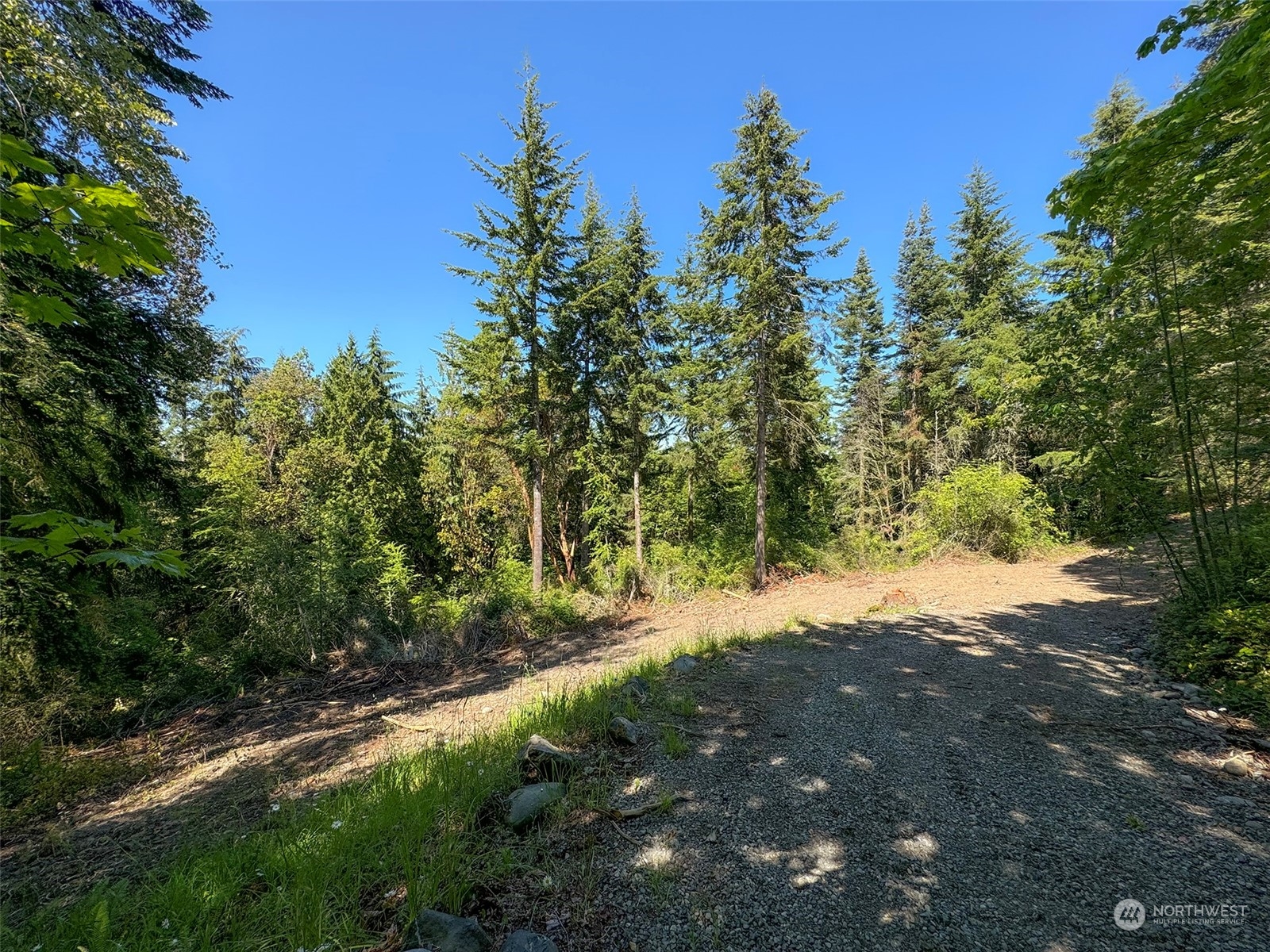 9999 Doe Run Road Property Photo 12