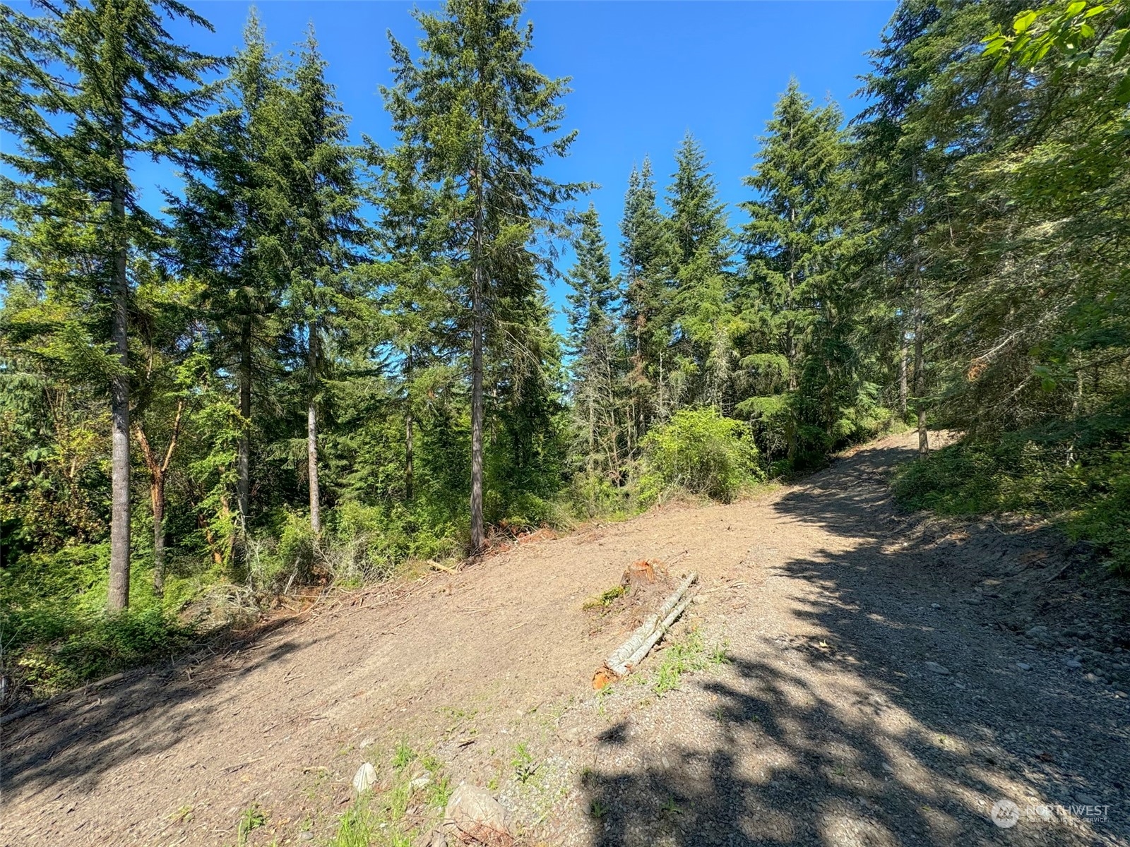 9999 Doe Run Road Property Photo 13