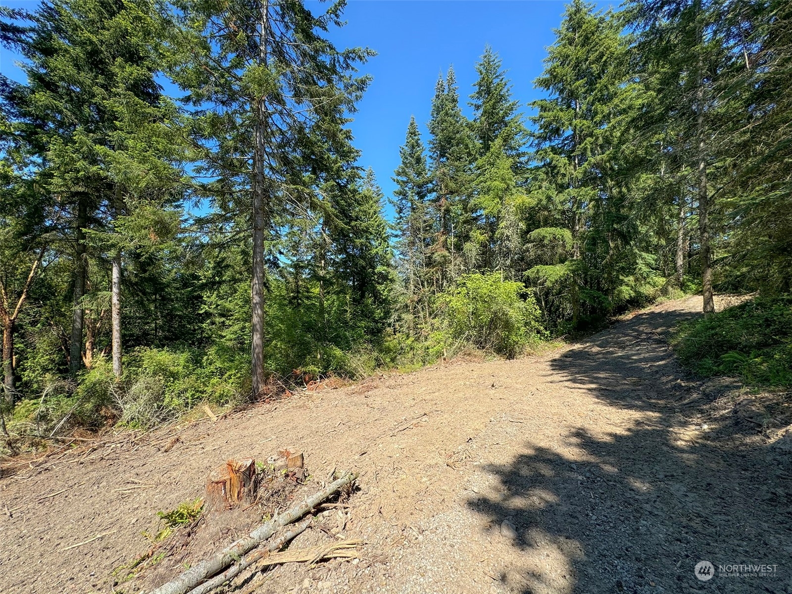 9999 Doe Run Road Property Photo 14