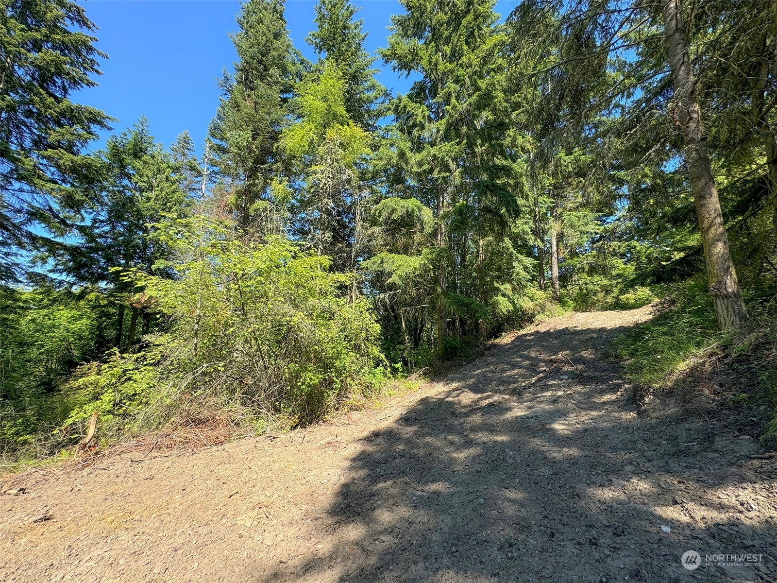 9999 Doe Run Road Property Photo 16