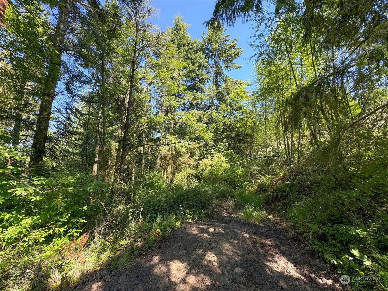 9999 Doe Run Road Property Photo 17