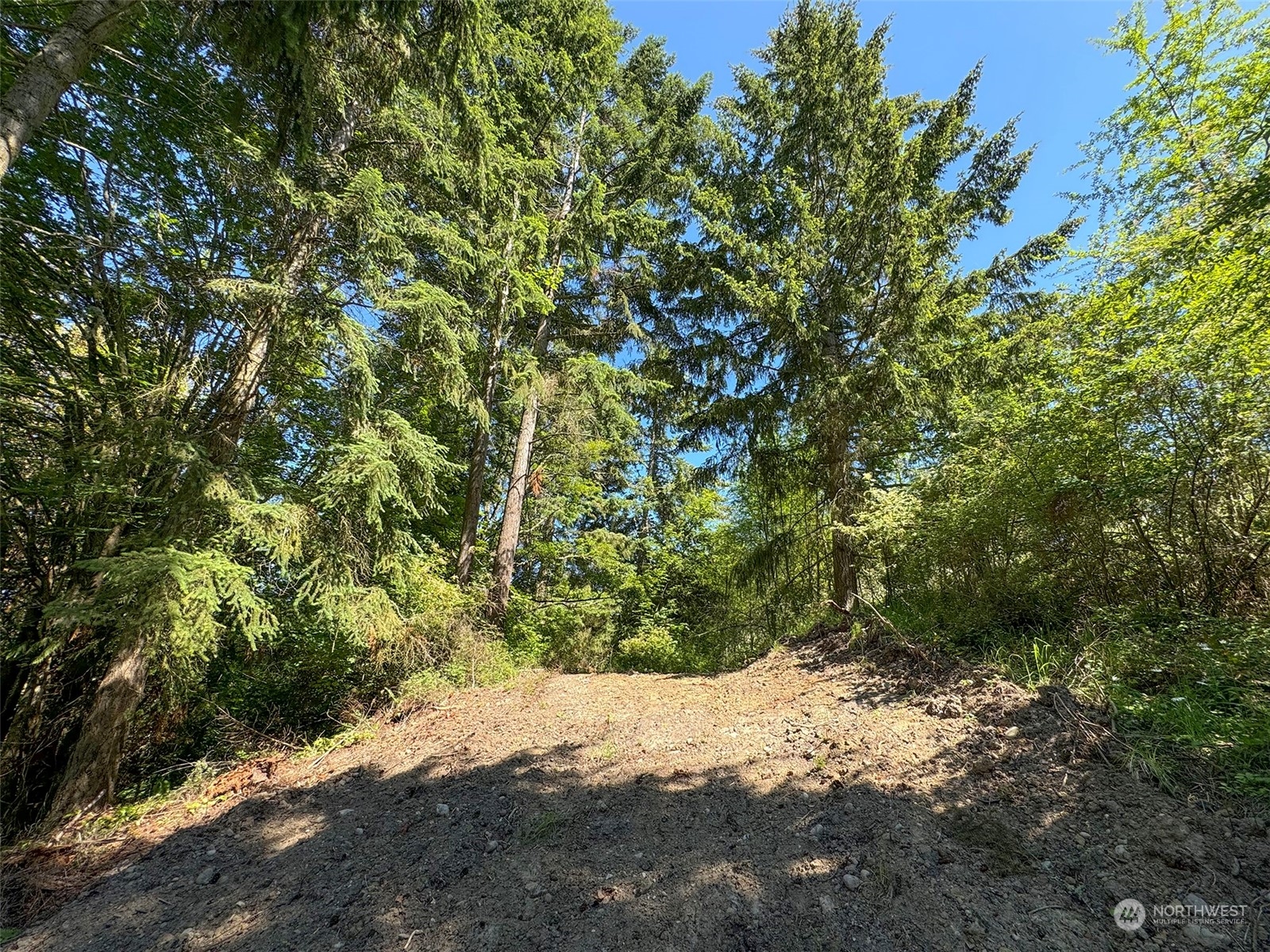 9999 Doe Run Road Property Photo 18