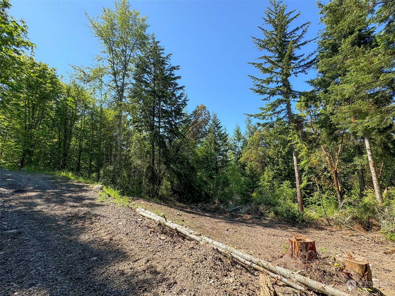 9999 Doe Run Road Property Photo 19