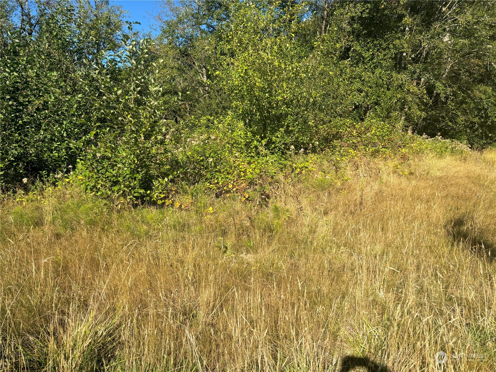 0 Pacific Highway Property Photo 1
