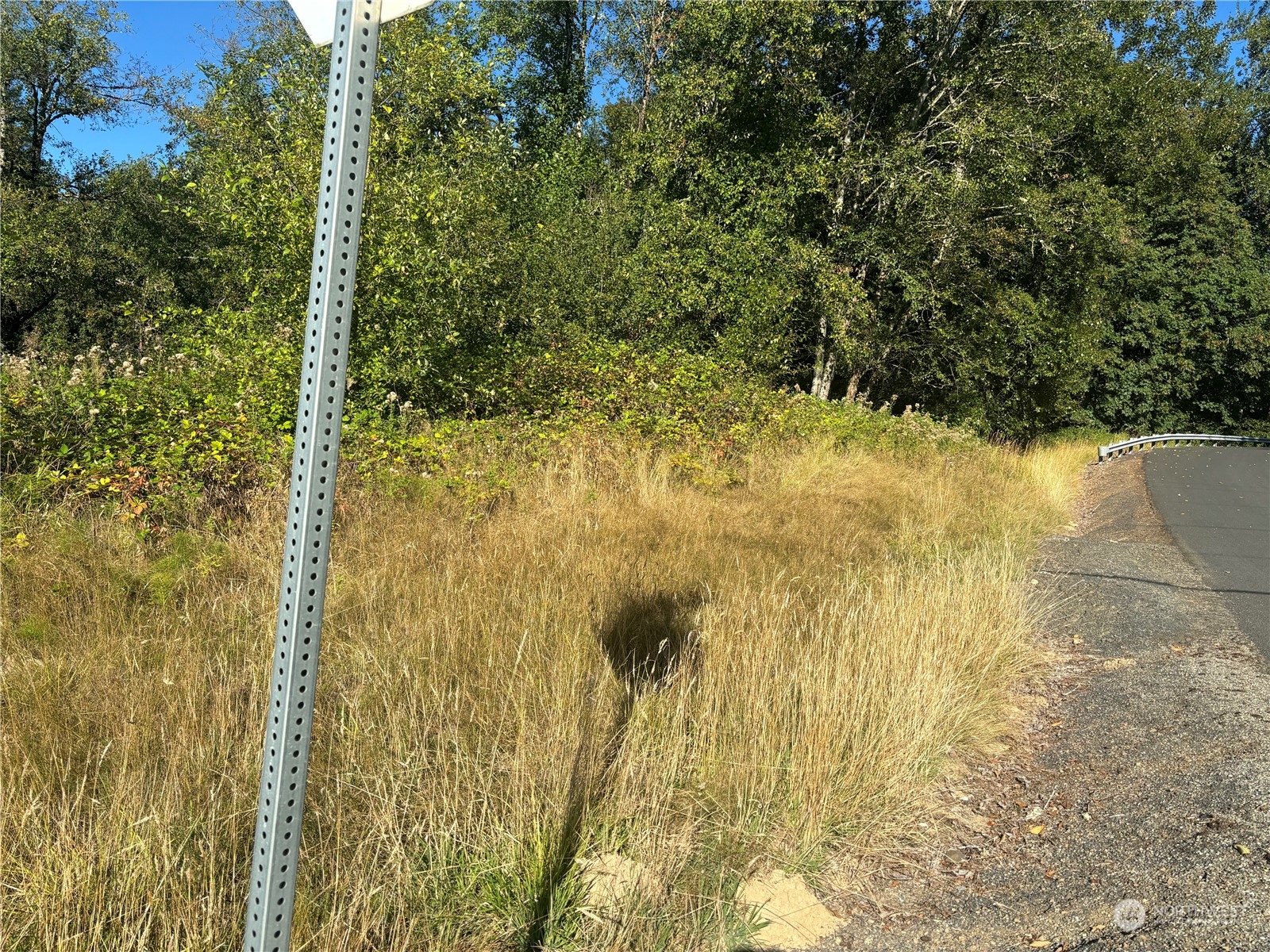 0 Pacific Highway Property Photo 2