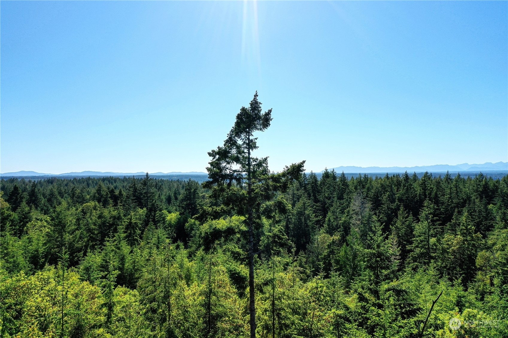 1415 208th Avenue Property Photo 1