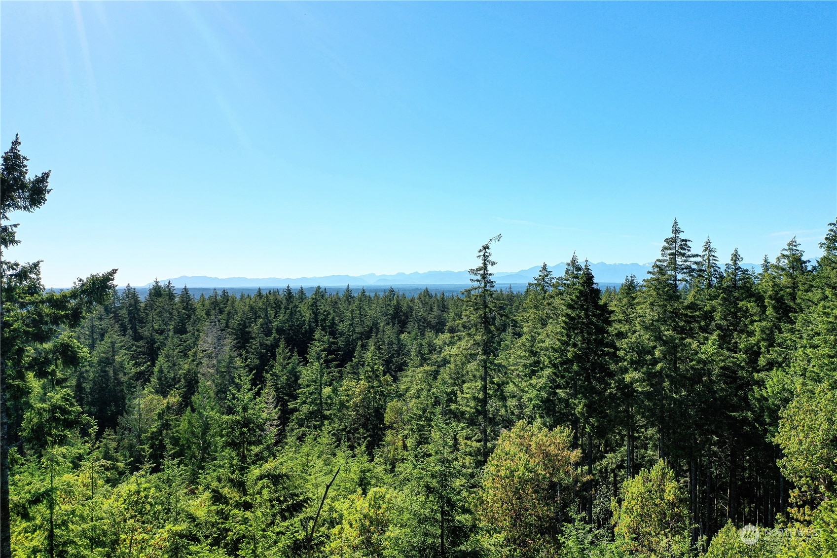 1415 208th Avenue Property Photo 11