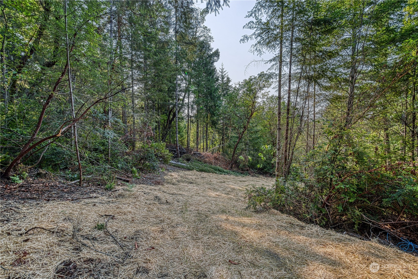 1415 208th Avenue Property Photo 22