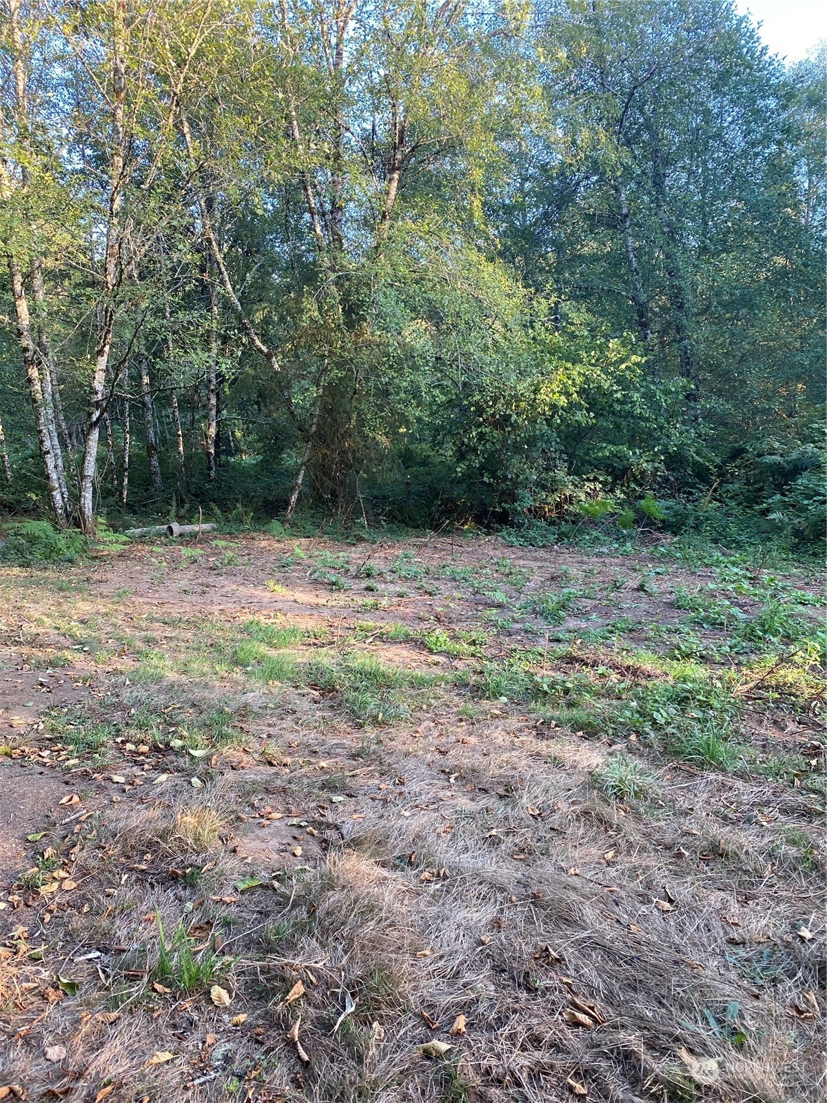 135 Redbud Road Property Photo 15
