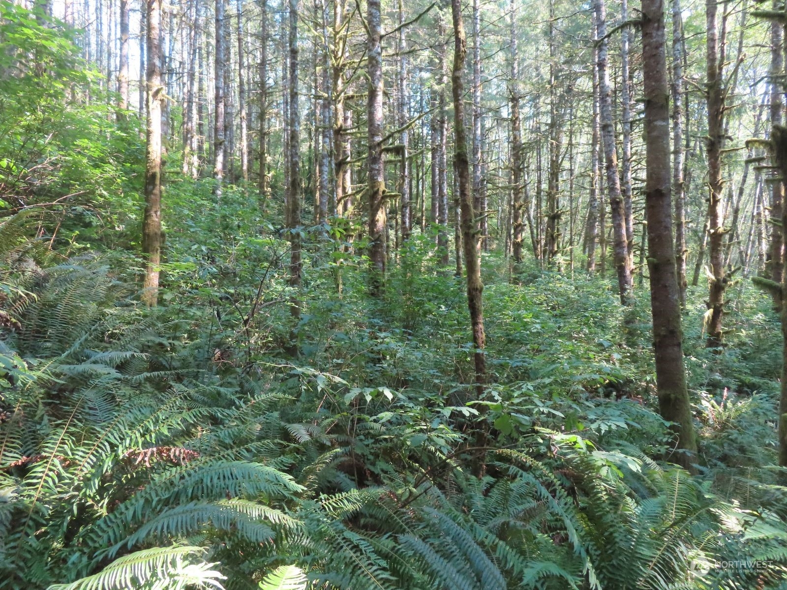 0 Xxx State Hwy 4 Property Photo 10