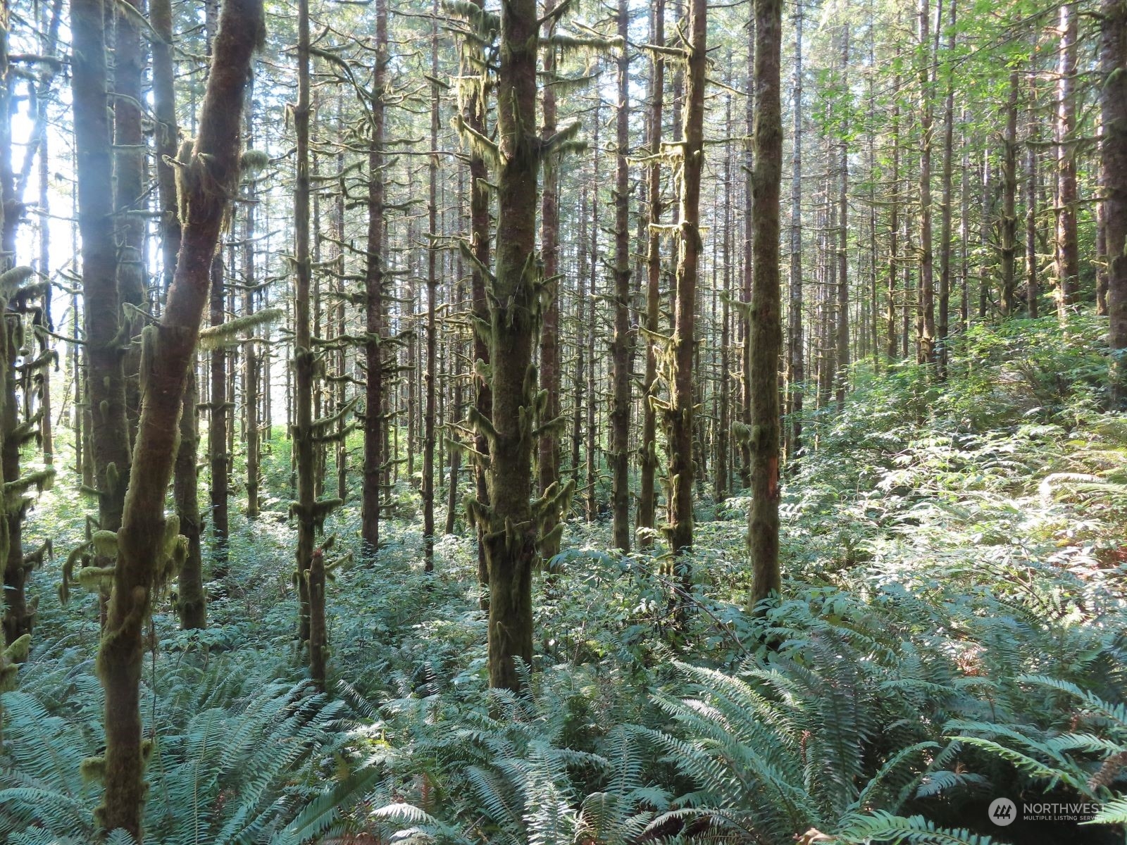 0 Xxx State Hwy 4 Property Photo 16