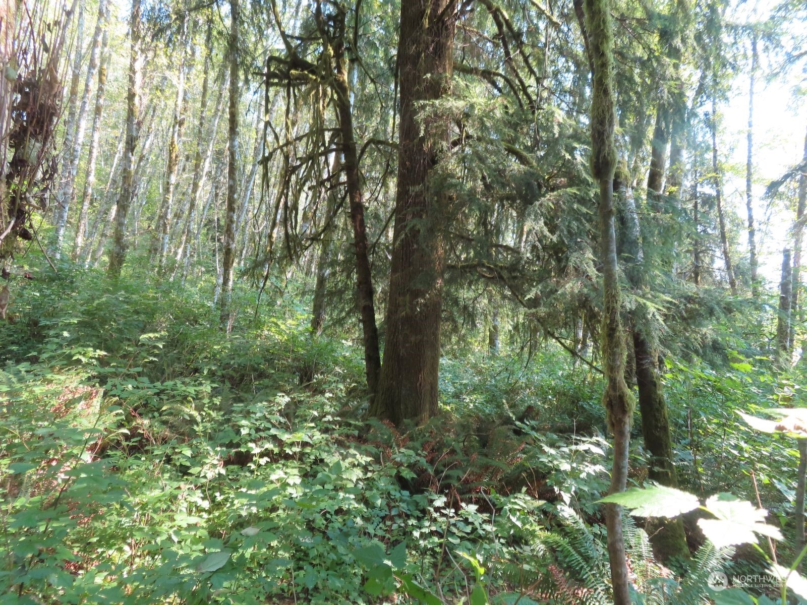 0 Xxx State Hwy 4 Property Photo 17