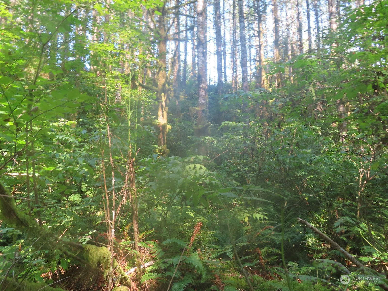 0 Xxx State Hwy 4 Property Photo 18