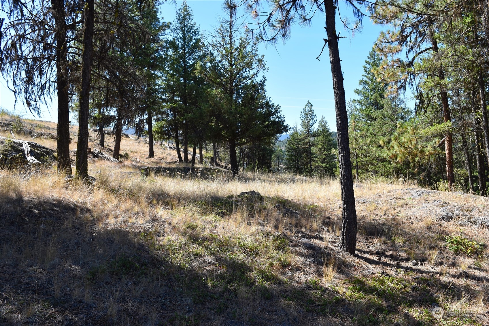 0 Tbd Eaglestone Road Property Photo 23