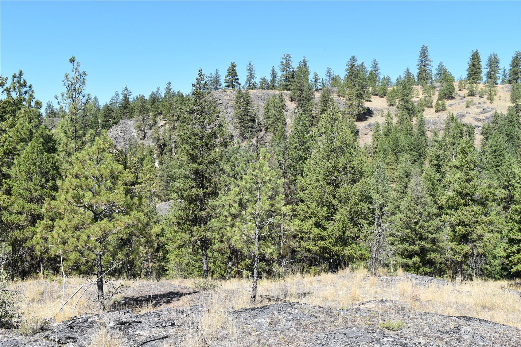 0 Tbd Eaglestone Road Property Photo 30