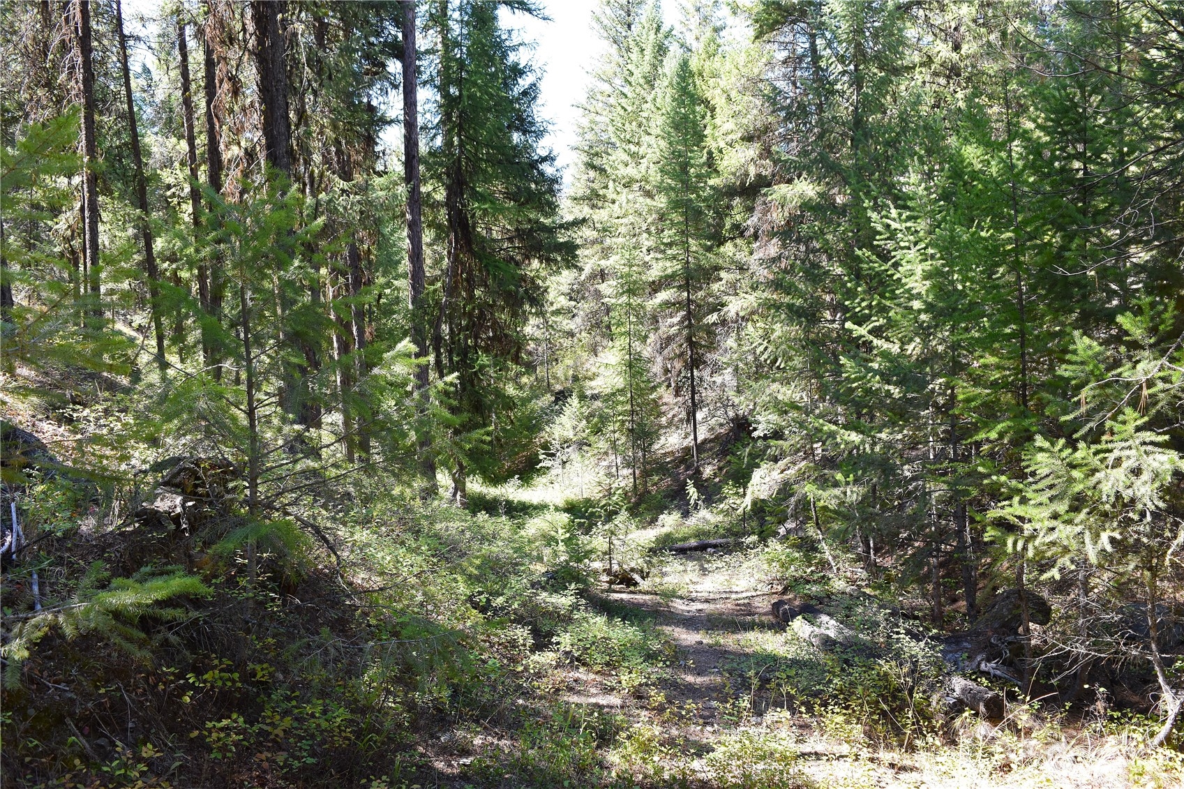 0 Tbd Eaglestone Road Property Photo 32
