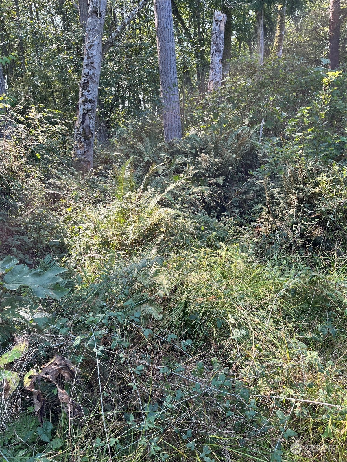 52 xx E Harbor Road Property Photo 1