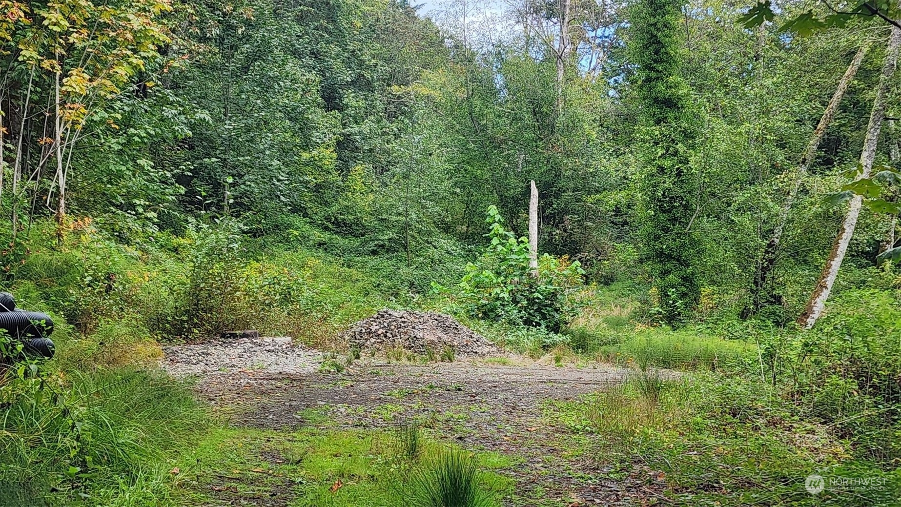 7099 Wilson Creek Road Property Photo 7