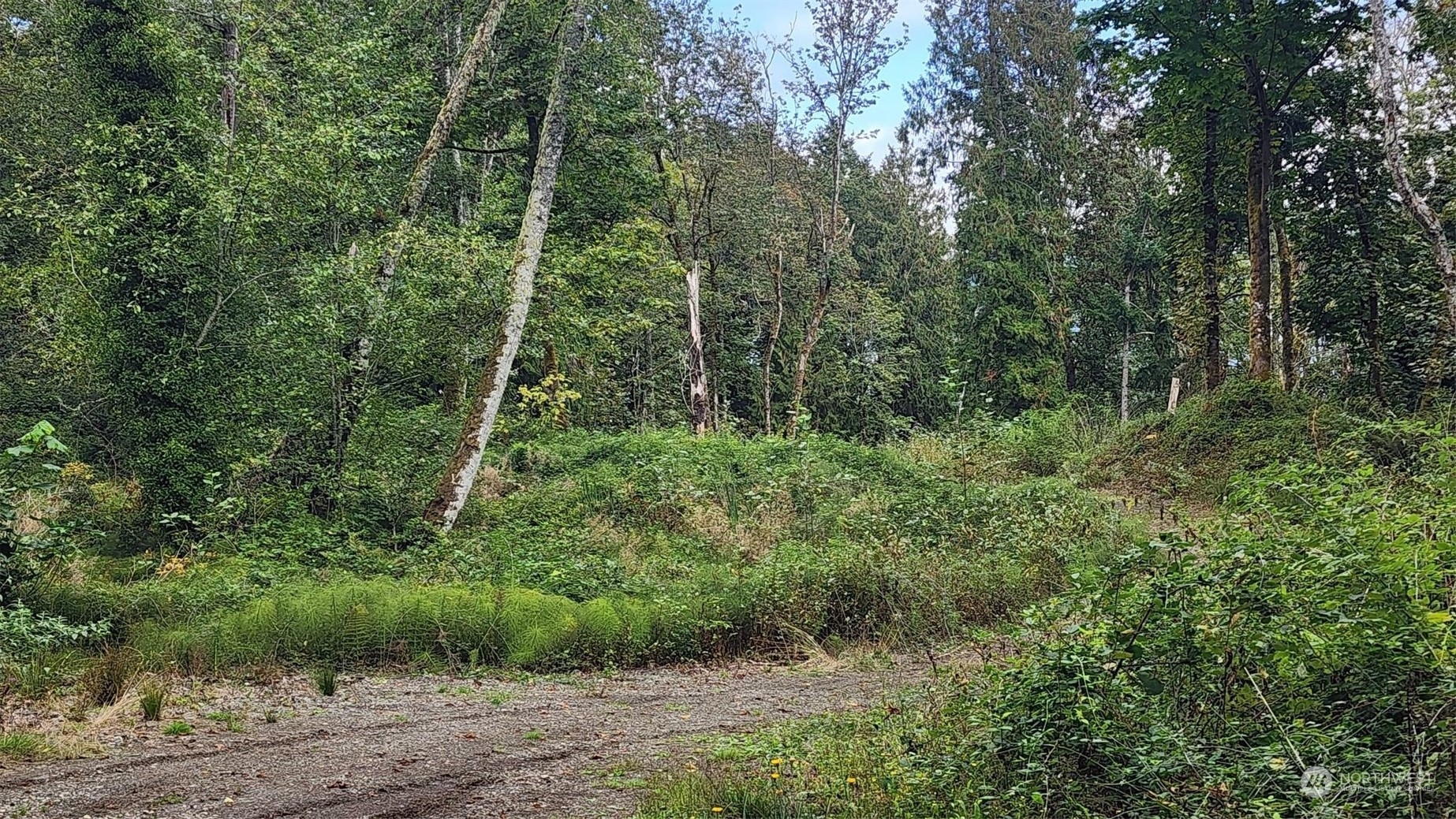 7099 Wilson Creek Road Property Photo 8