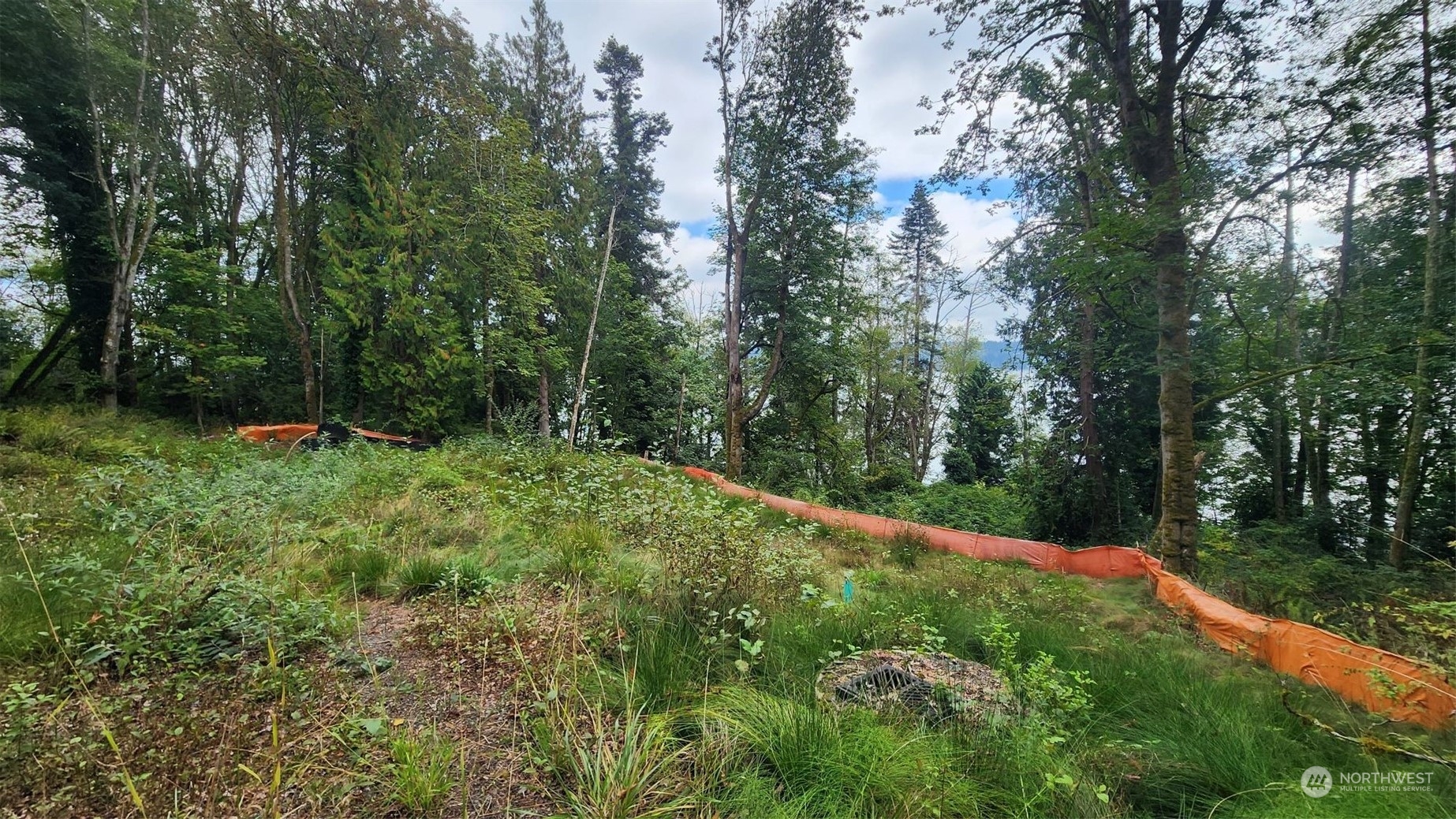 7099 Wilson Creek Road Property Photo 11