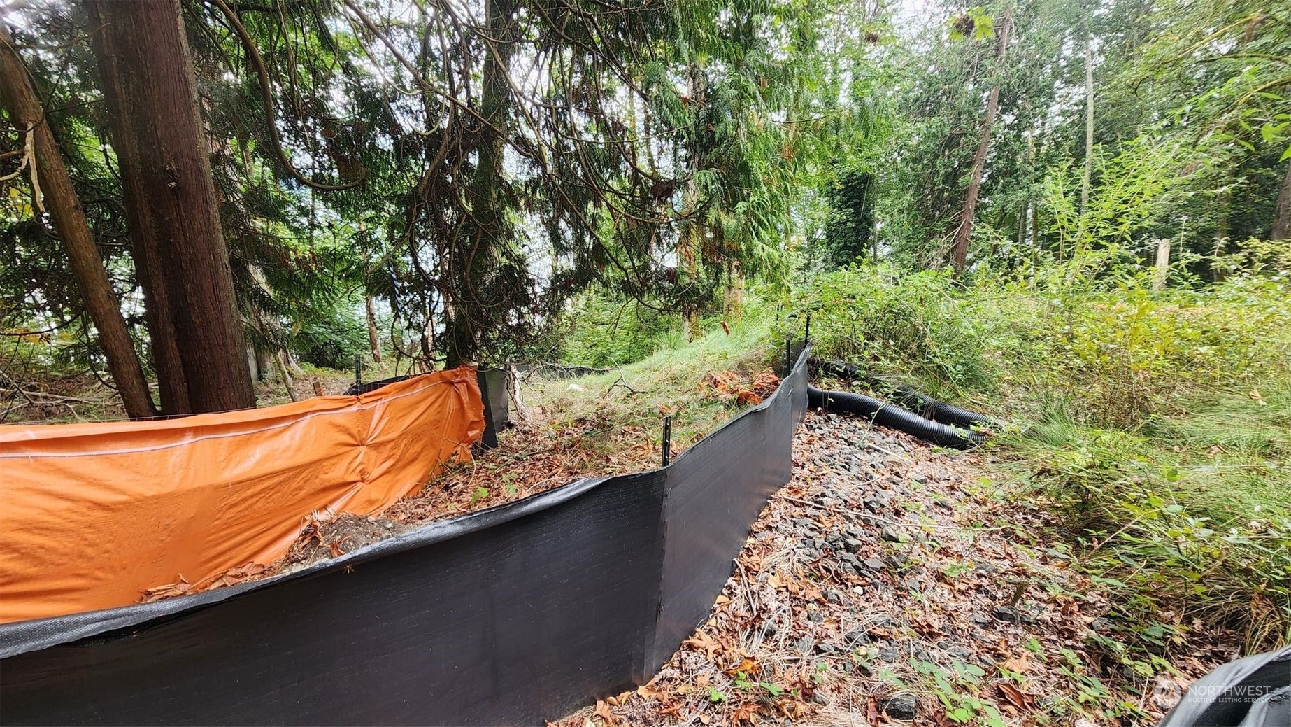 7099 Wilson Creek Road Property Photo 14