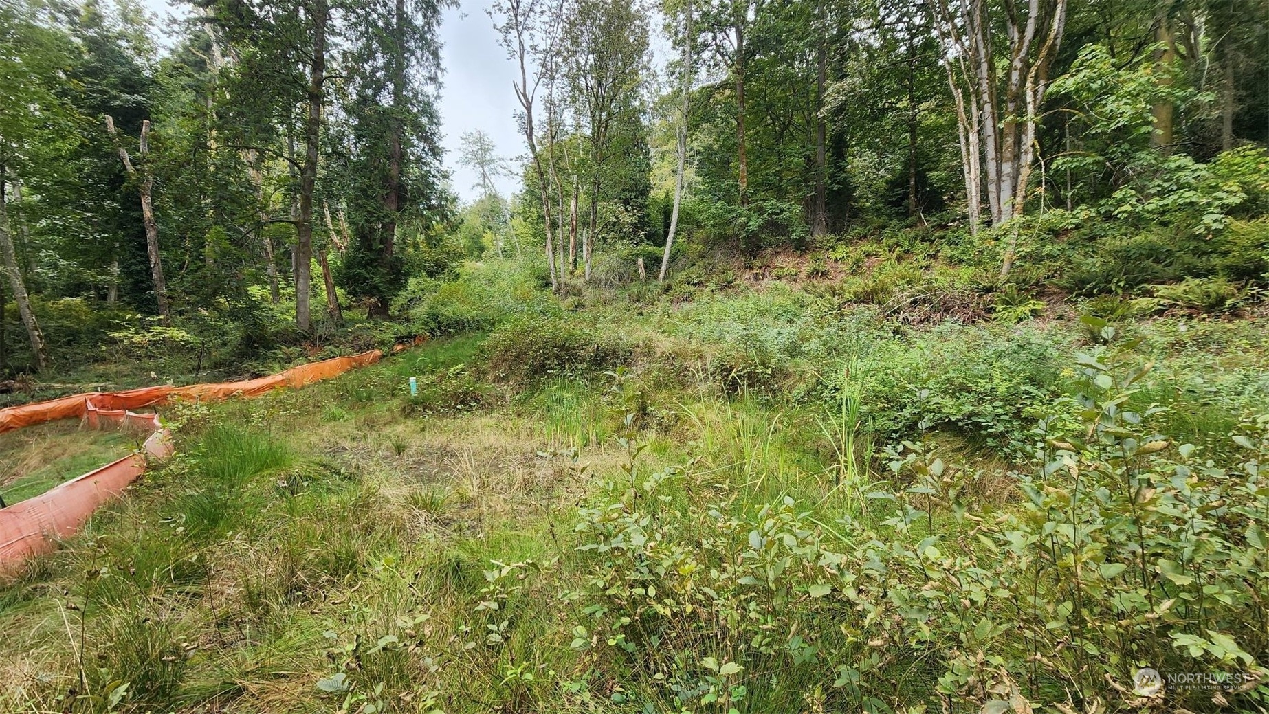 7099 Wilson Creek Road Property Photo 15