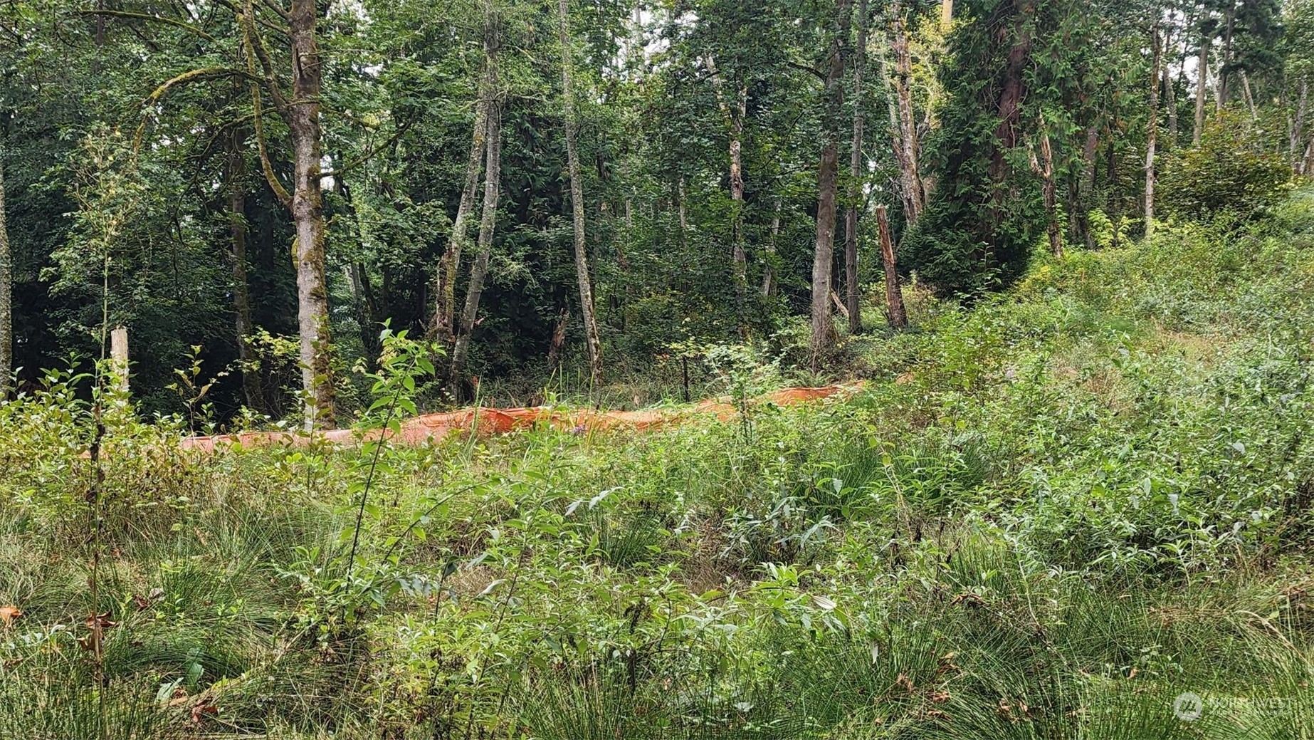 7099 Wilson Creek Road Property Photo 16