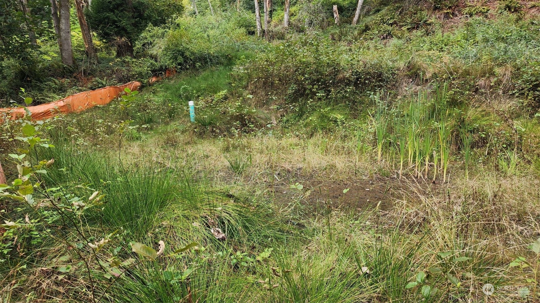 7099 Wilson Creek Road Property Photo 17