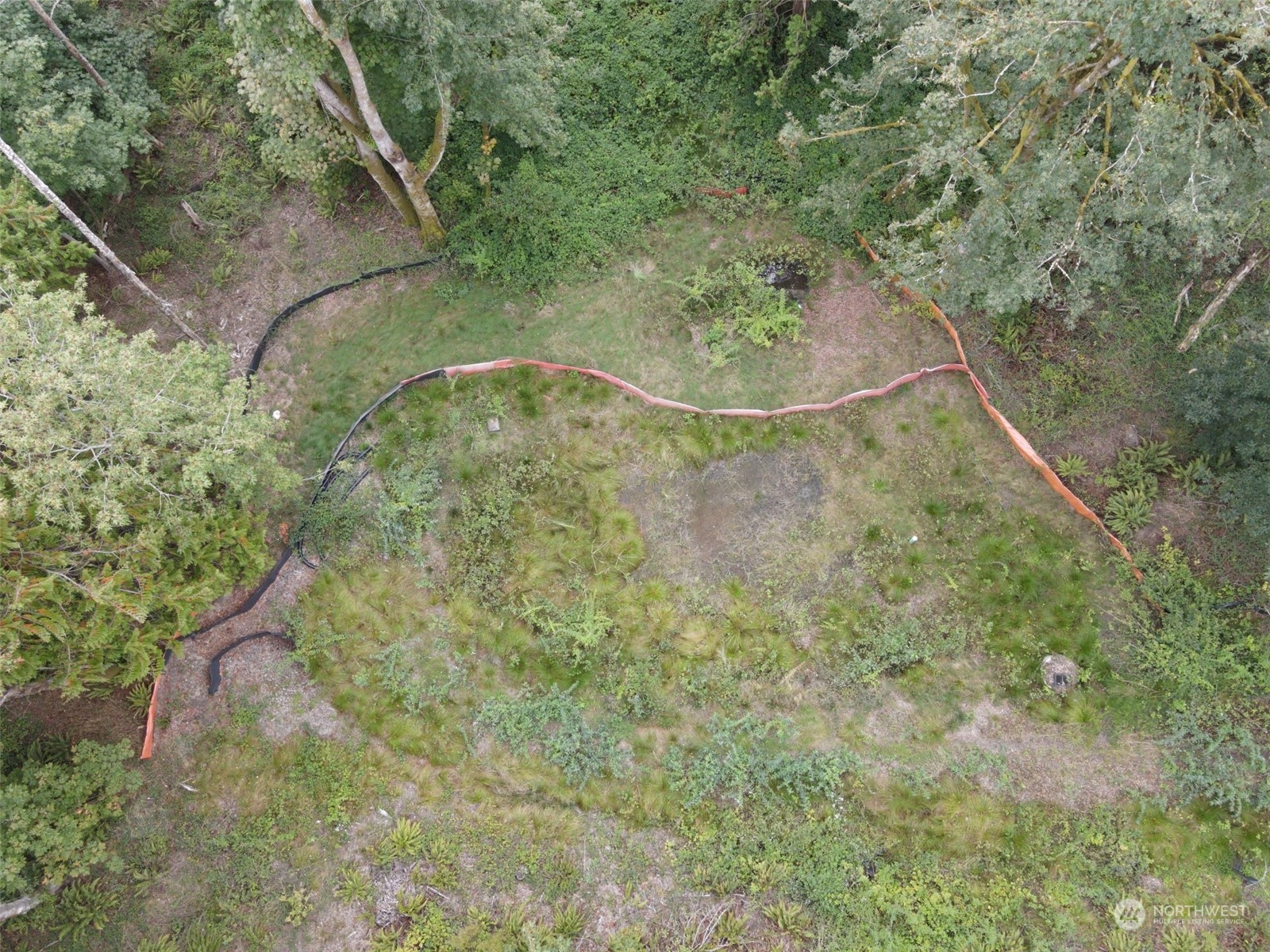 7099 Wilson Creek Road Property Photo 23