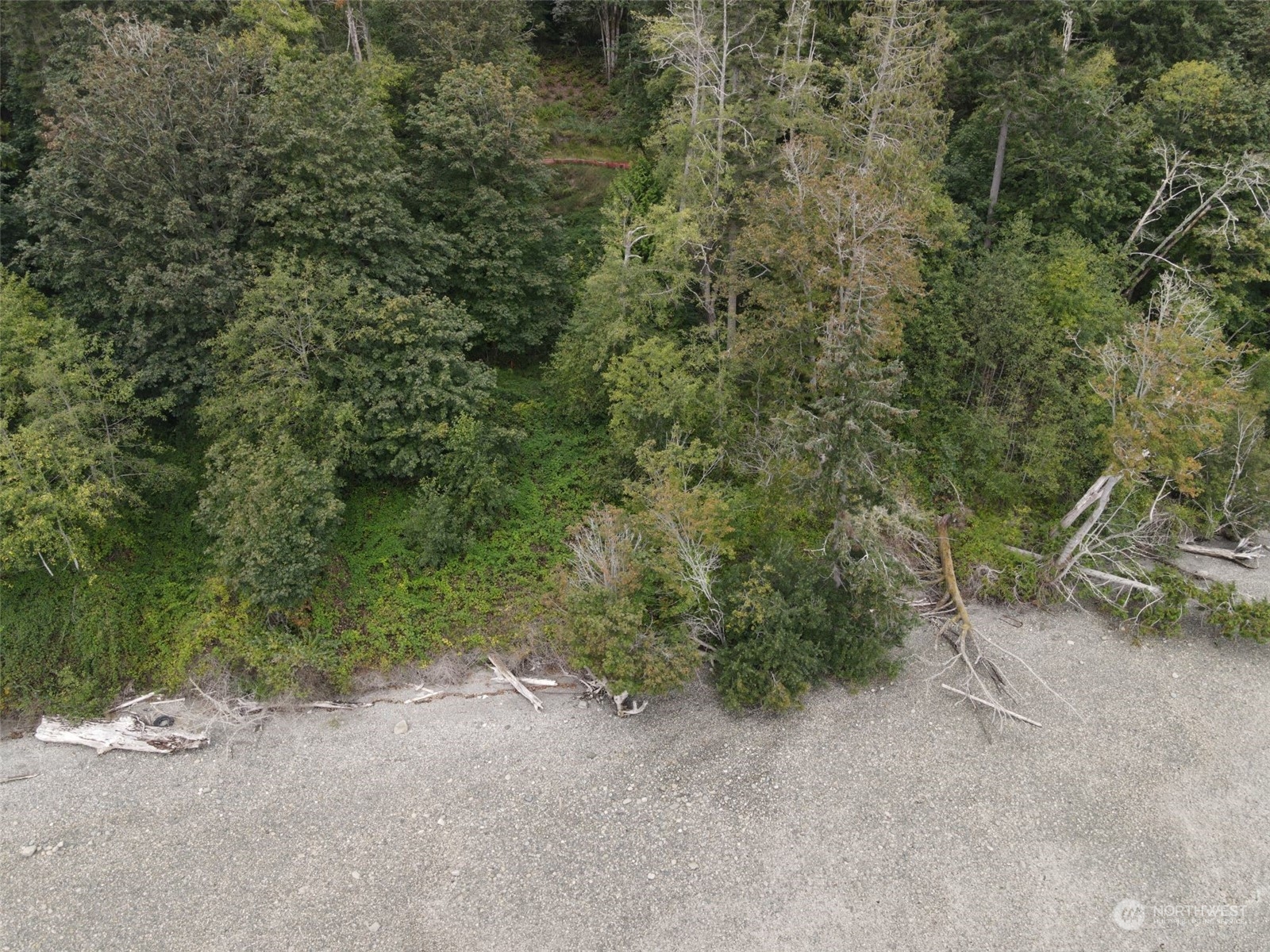 7099 Wilson Creek Road Property Photo 31