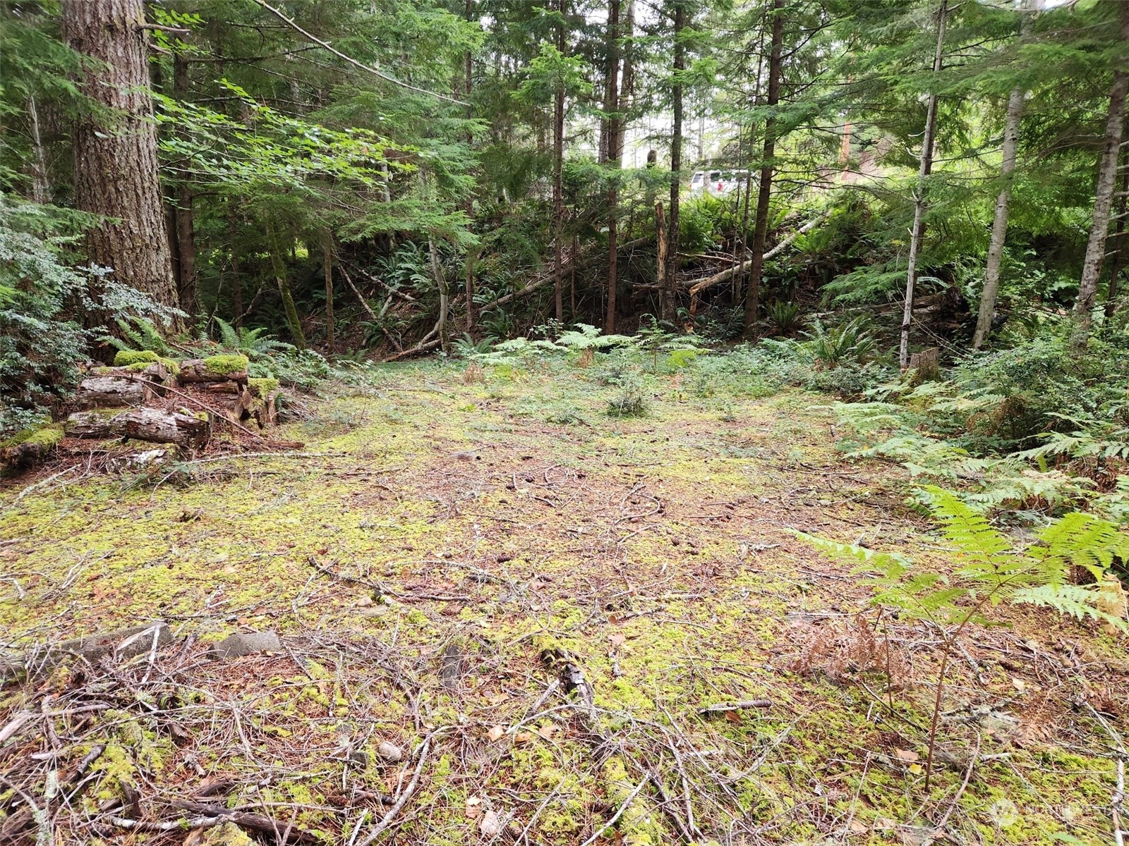0 Xxx Ne Lake Christine Road Property Photo