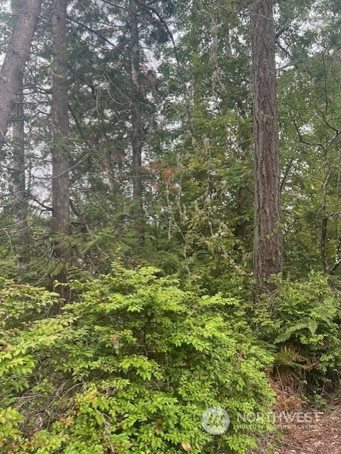 919 Sanford Avenue Property Photo 1