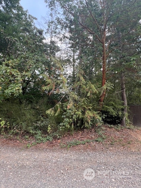 919 Sanford Avenue Property Photo 3