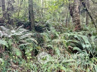 0 Xxx Goss Lake Road Property Photo