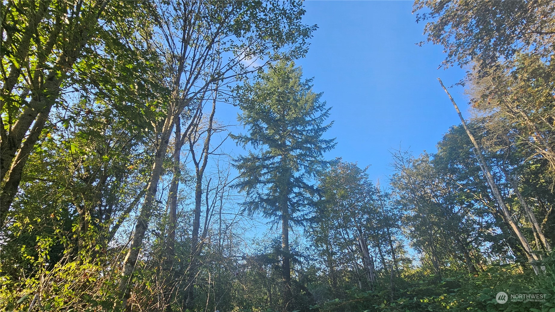 803 125th Place Property Photo 10