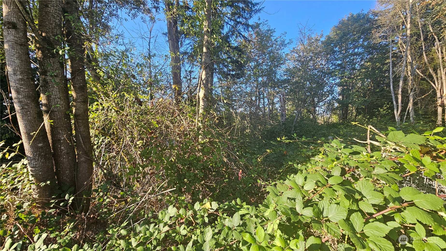 803 125th Place Property Photo 11