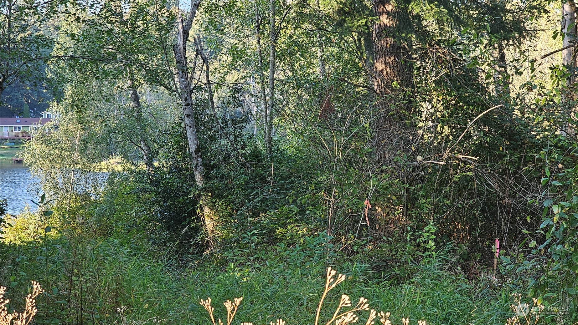 803 125th Place Property Photo 13