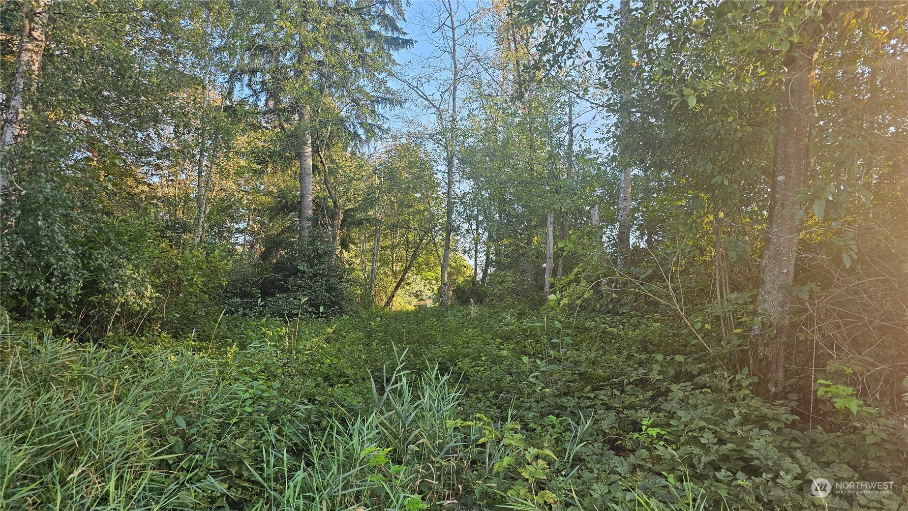 803 125th Place Property Photo 19