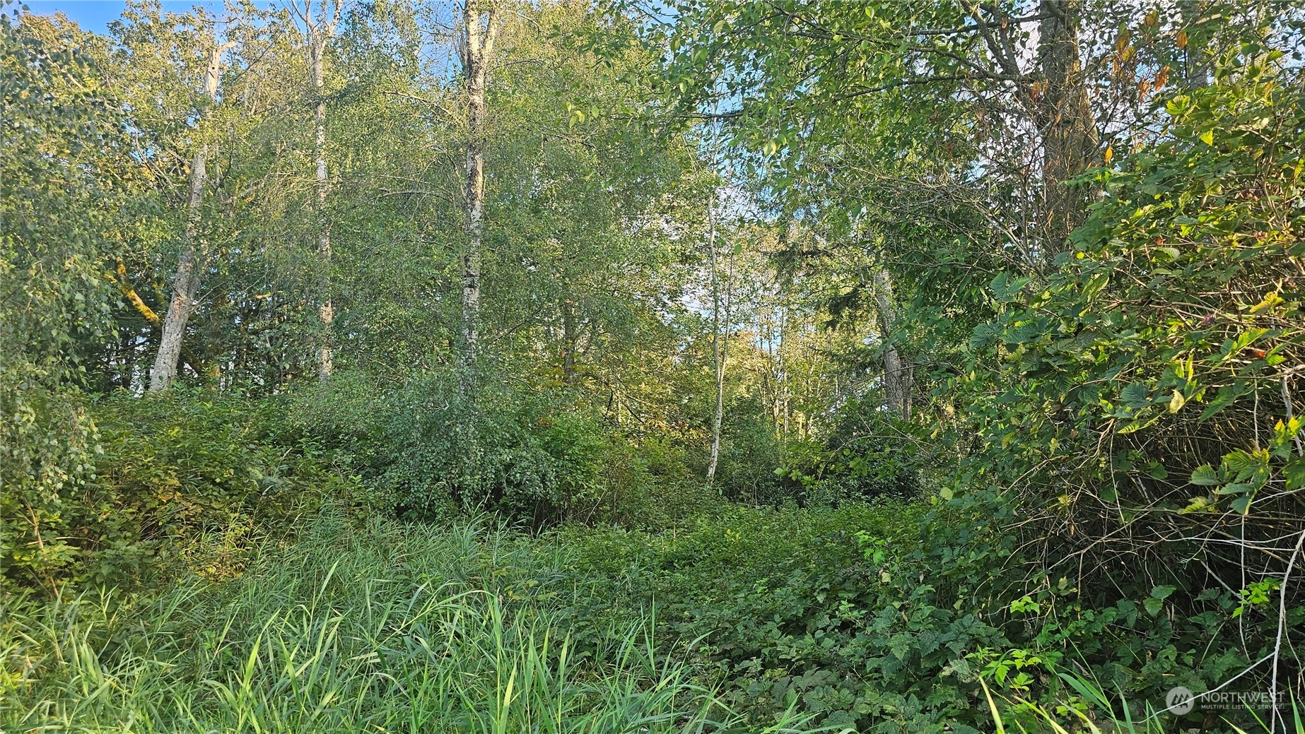 803 125th Place Property Photo 20