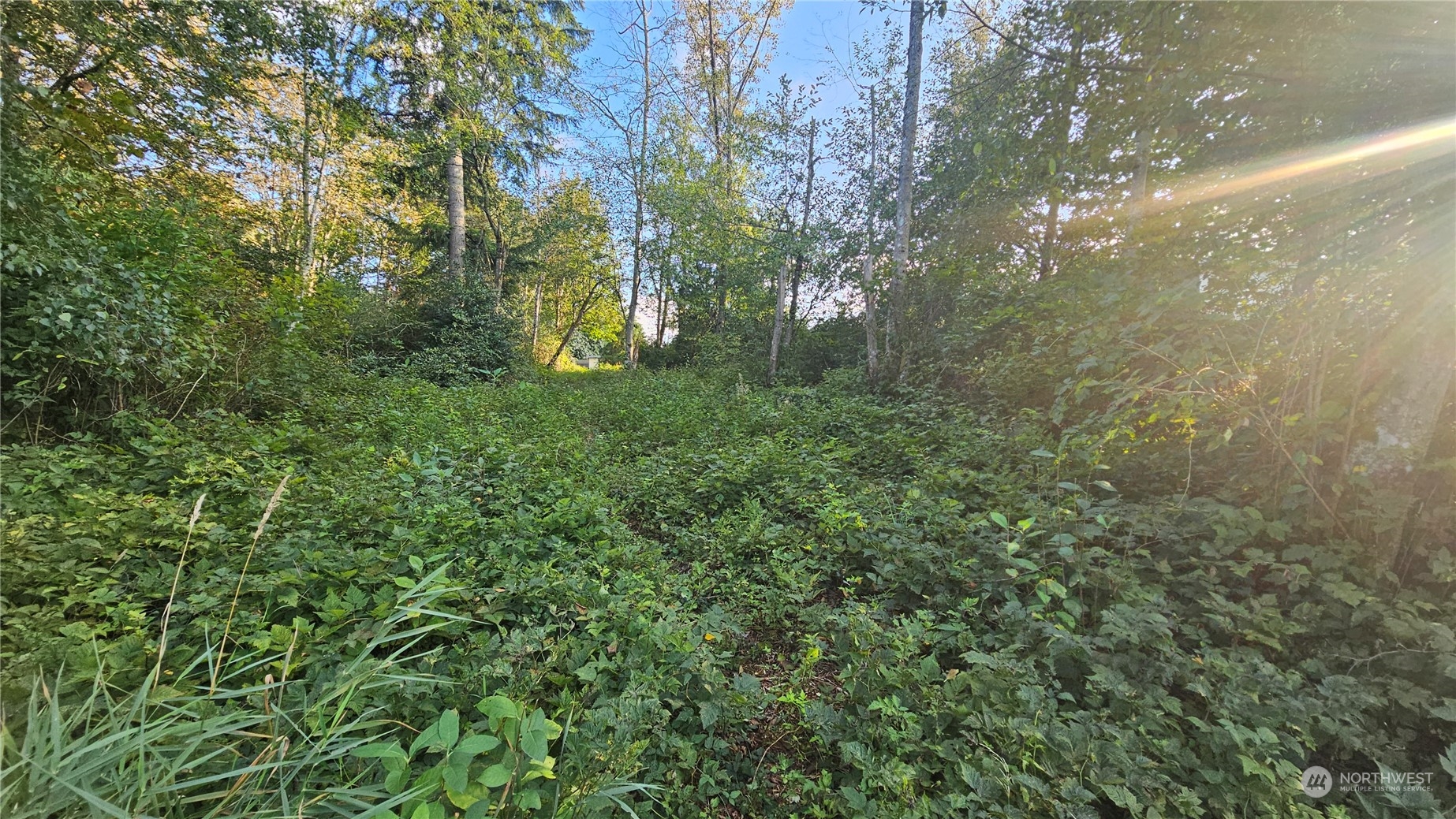 803 125th Place Property Photo 21