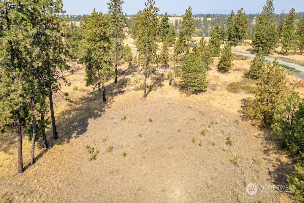 1 Lot, Dalloul, Meadow Lane Property Photo 4