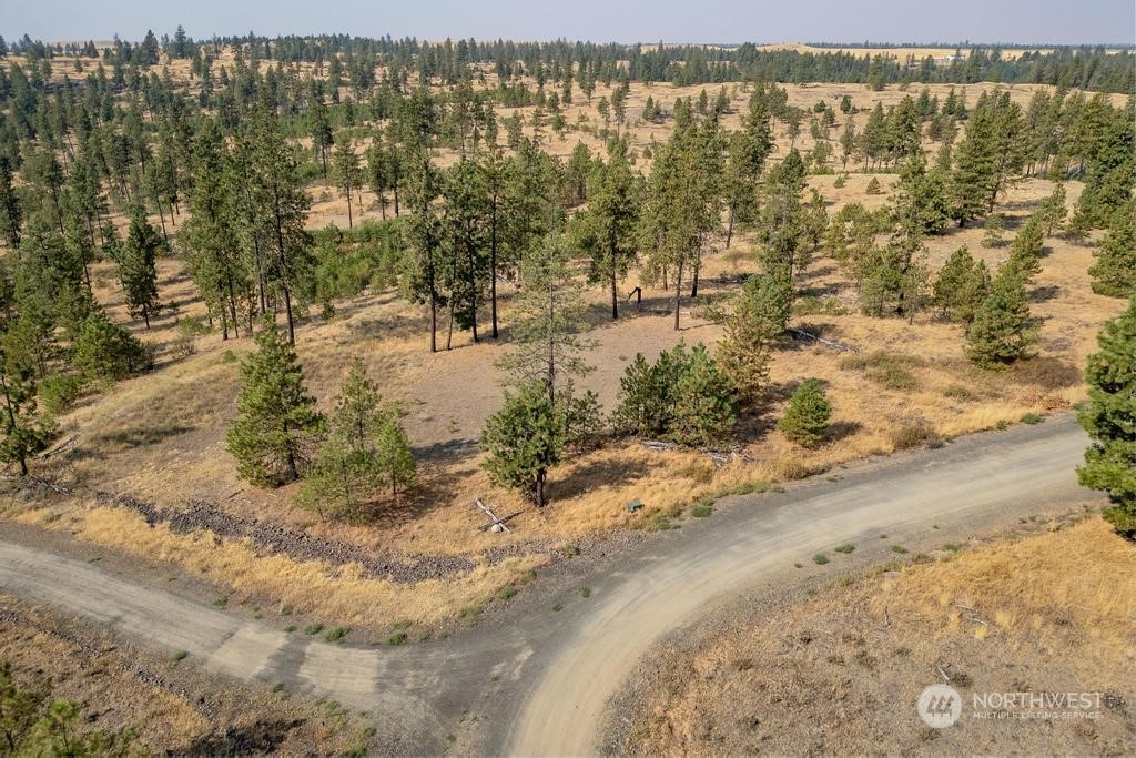 1 Lot, Dalloul, Meadow Lane Property Photo 5