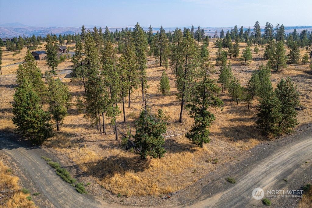 1 Lot, Dalloul, Meadow Lane Property Photo 6