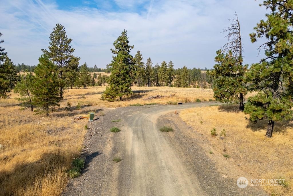 1 Lot, Dalloul, Meadow Lane Property Photo 7