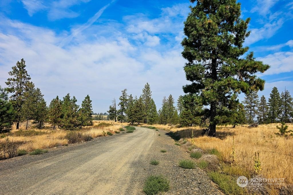 1 Lot, Dalloul, Meadow Lane Property Photo 8