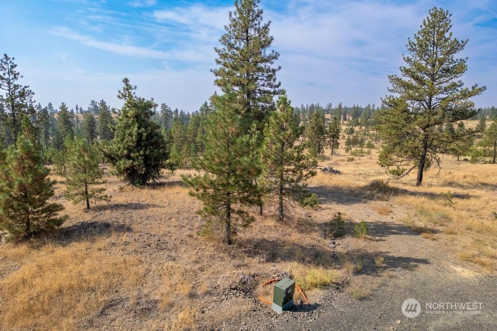 1 Lot, Dalloul, Meadow Lane Property Photo 10