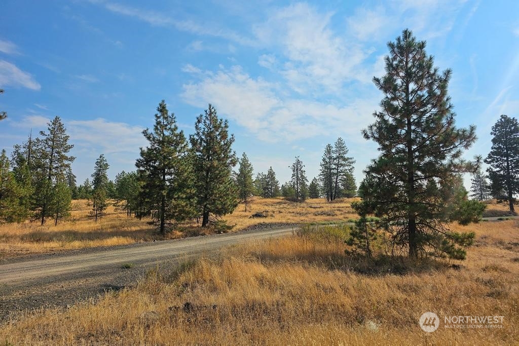 1 Lot, Dalloul, Meadow Lane Property Photo 11