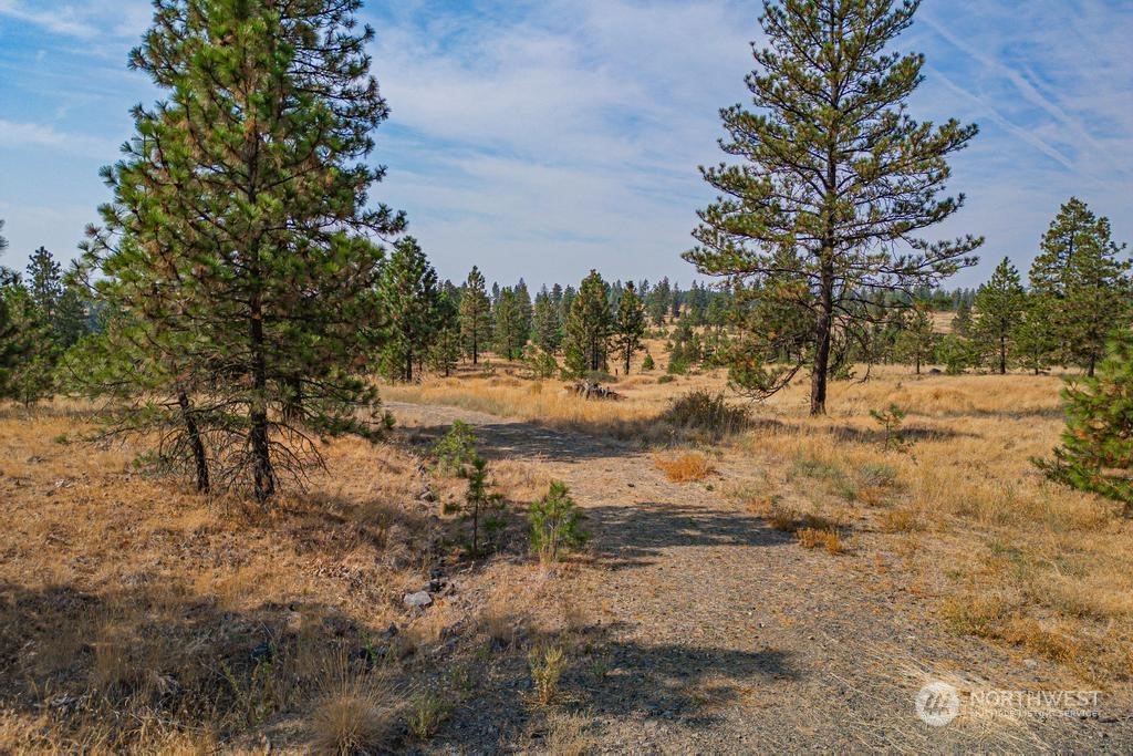 1 Lot, Dalloul, Meadow Lane Property Photo 12
